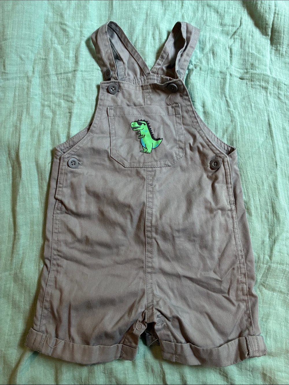 Gray Dino Overall Shorts